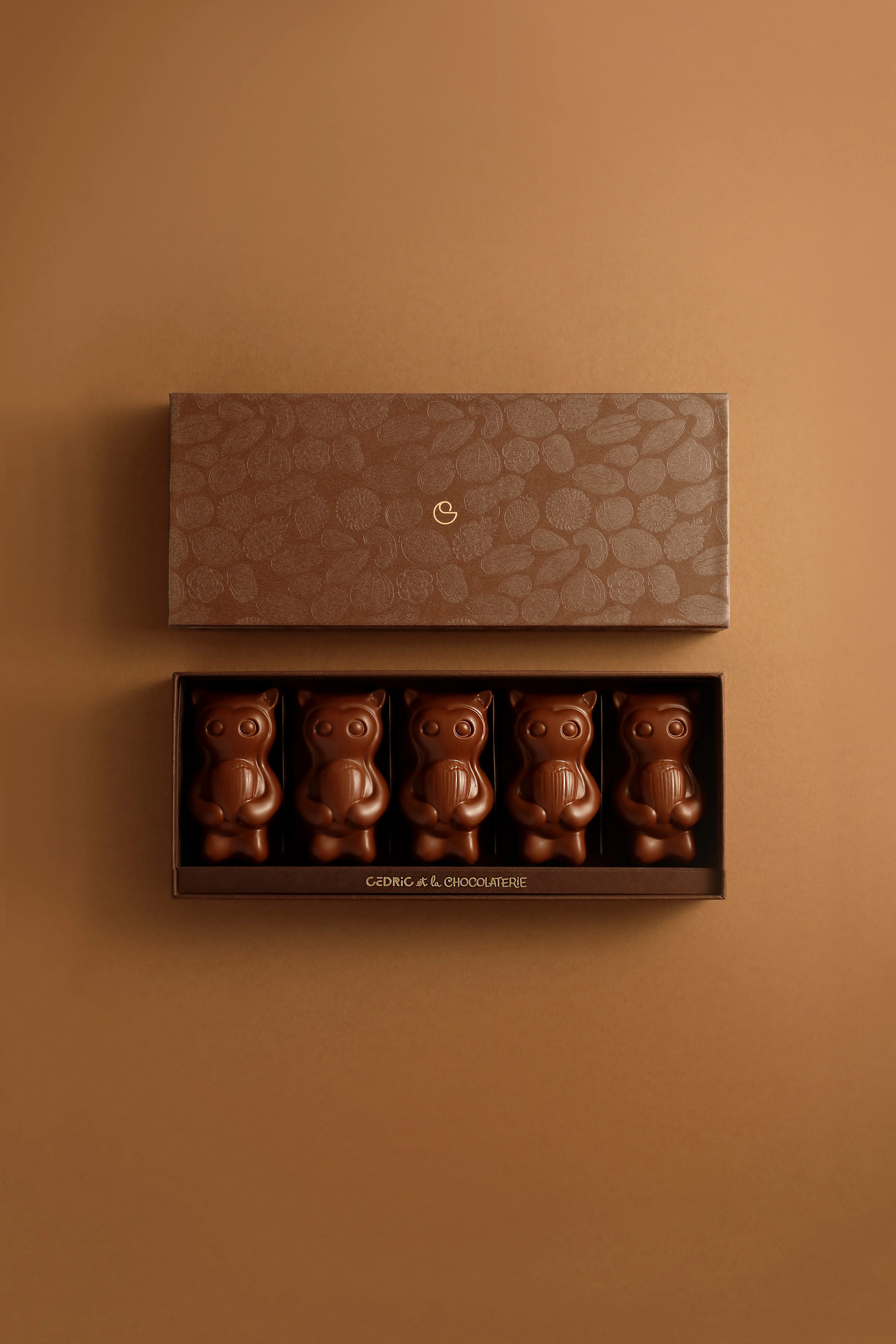 Cedrico vanille noisette 5 pièces chocolat au lait