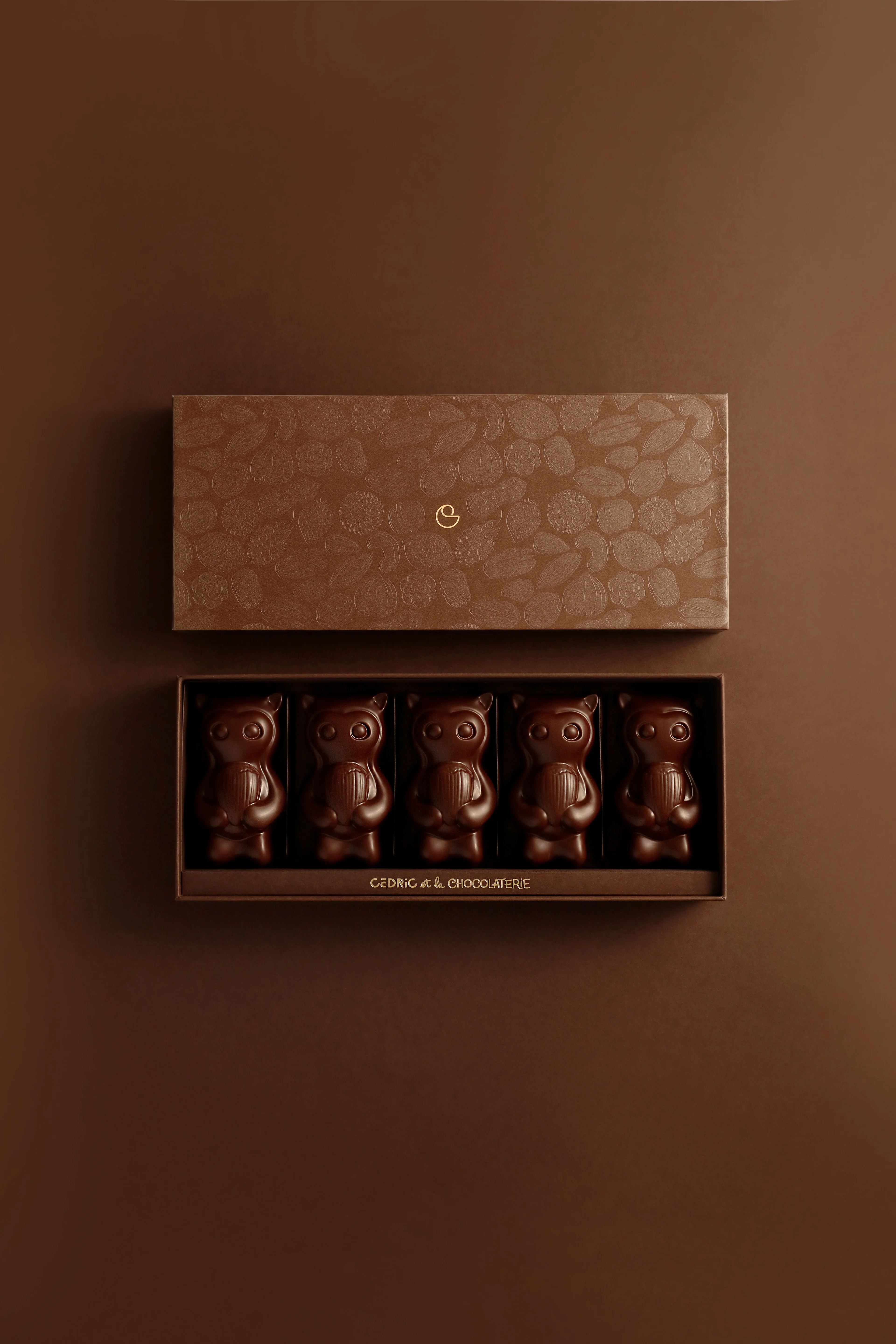 Cedrico vanille noisette 5 pièces chocolat noir