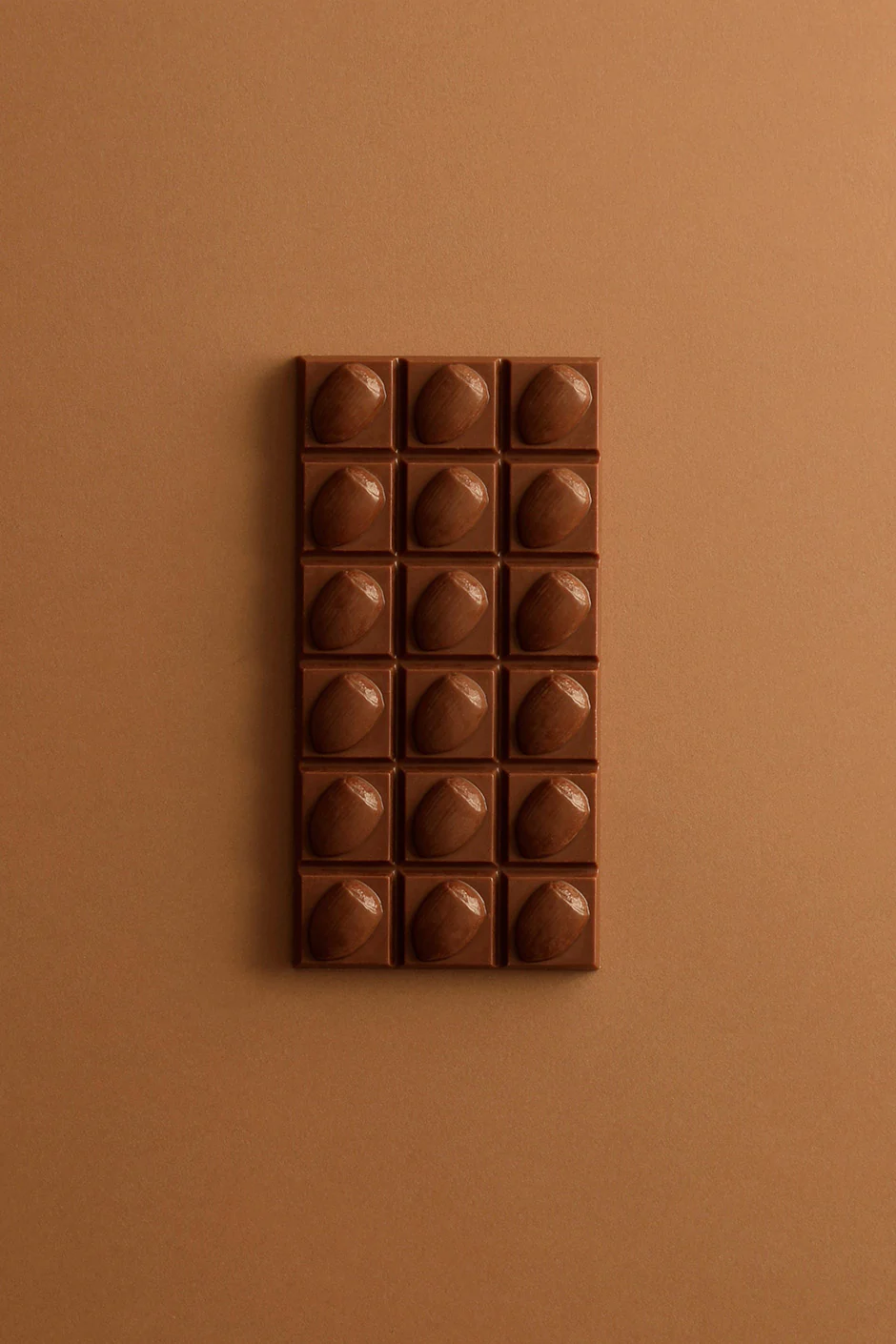 Tablette noisette chocolat au lait